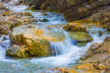 Zümrüt nehri kıyıdaki ormanla birlikte kanyon boyunca akıyor.