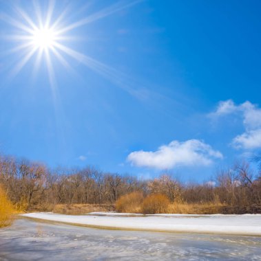 Güneşli bir günde kışa bağlı donmuş nehir kıyılarında orman, açık havada kış.