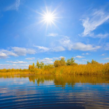 Güneşli bir günde mavi bulutlu bir gökyüzünün altında ormanın ortasında küçük sakin bir göl.