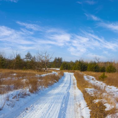 Orman açık bir kış gününde kar altında.