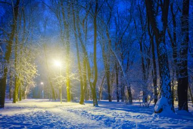Kış parkı gece fenerle aydınlandı.