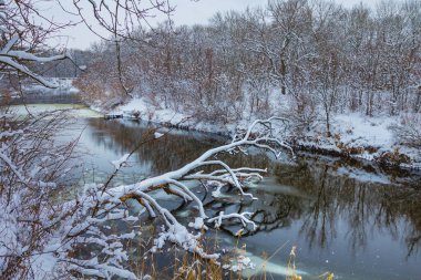 Sakin nehir kıyılarında karla kaplı orman, açık havada kış manzarası