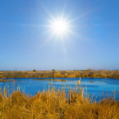 Güneşli bir günde kıyıda sazlıkla küçük sakin bir göl.