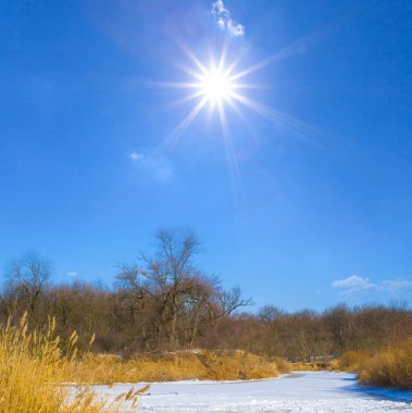 Karla kaplı donmuş nehir, güneşli kış gününde sahilde ormanla birlikte.