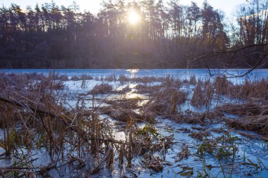 Gün batımında ormandaki sakin donmuş göl