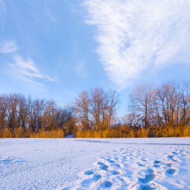 Kış donmuş nehir karla kaplıydı. Mavi bulutlu gökyüzünün altında ormanla kaplıydı.