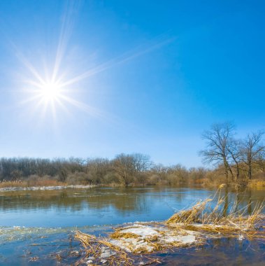 Kış nehri kıvılcımlı güneşin altında ormanla birlikte eriyor.