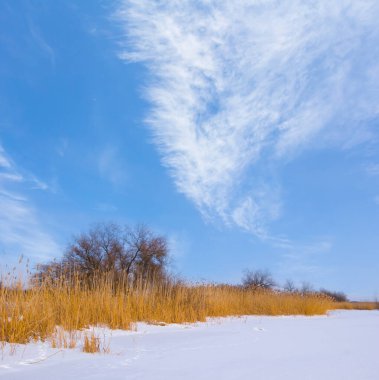 Karla kaplı donmuş nehir, açık kış gününde kıyıda kamış var.