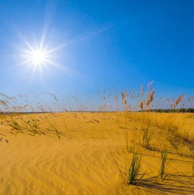 Sıcak ve güneşli bir günde kumlu çöl