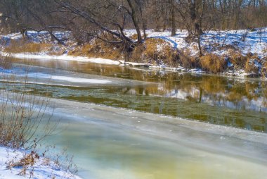 Küçük eriyen kış donmuş nehir bir orman arasında akar.