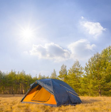 Turistik çadır, köknar ormanında güneşli bir günde, dış seyahat arka planında kalır.