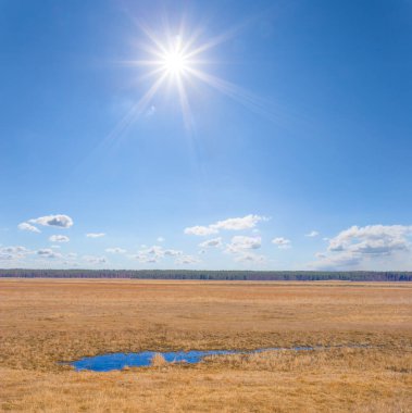 Parlak güneşin altında çimenlerin arasında küçük bir pong.