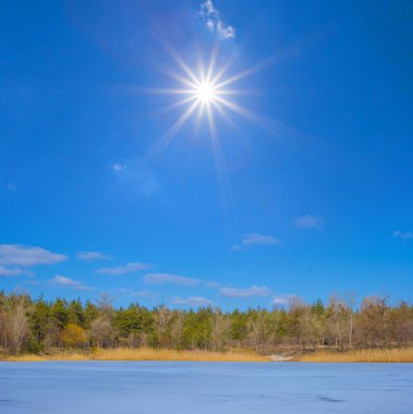 Kış donmuş nehir. Parlak güneşin altında orman kıyıları var.
