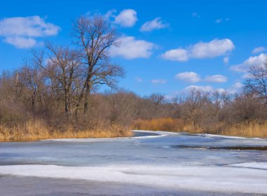 Sakin, donmuş bir nehir, açık kış gününde sahilde bir orman.