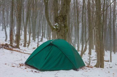 Kapalı yeşil turistik çadır Kış sisli ormanların arasında kalır