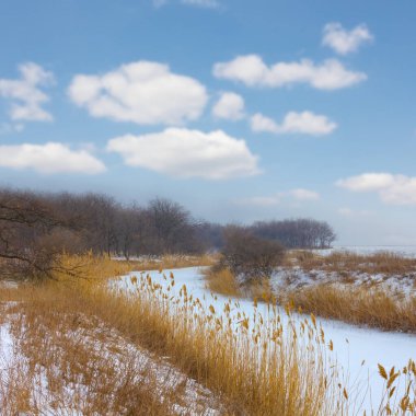 Kış donmuş nehir, orman kıyıları bulutlu bir gökyüzünün altında.