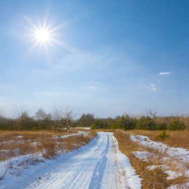 Aydınlık kış güneşli bir günde, kar altında bir ormanın içinde zemin yolu.
