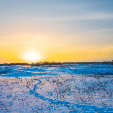 Kış karla kaplı ovalarda gün batımında, mevsimlik açık hava manzarasında
