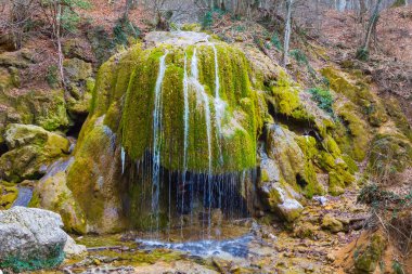 Dağ nehrinde küçük bir şelale