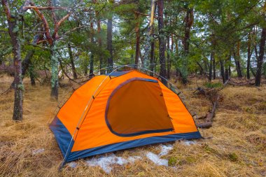 Turuncu turistik çadır ormanın açıklığında kalıyor.