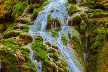 Dağ nehrindeki küçük şelale yosun içinde taşların üzerinden akıyor.