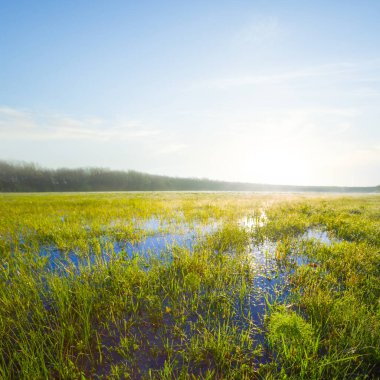 Sabahın erken saatlerinde yeşil çayırları sel bastı.