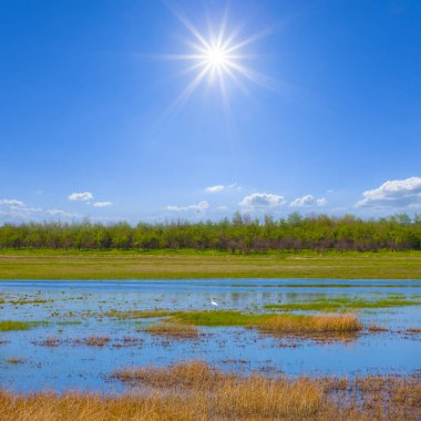 Pırıl pırıl güneşin altındaki selde bahar çayırları, güzel mevsimlik açık hava manzarası