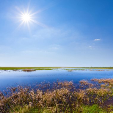 Pırıl pırıl güneşin altındaki selde bahar çayırları, güzel mevsimlik açık hava manzarası