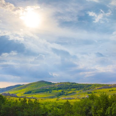 Yeşil dağ vadisi Yazın güneşli gününde