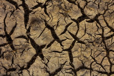 kuru çatlamış toprak doğal bir arka plan olarak