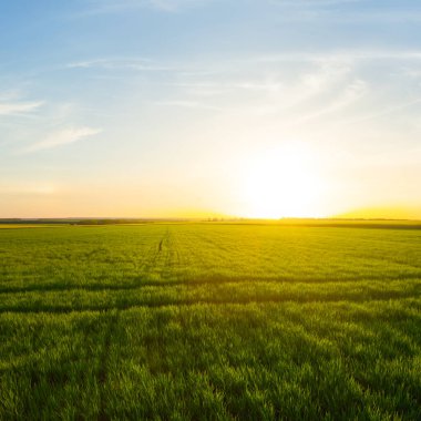 dramatik batımında yeşil kırsal alanlar