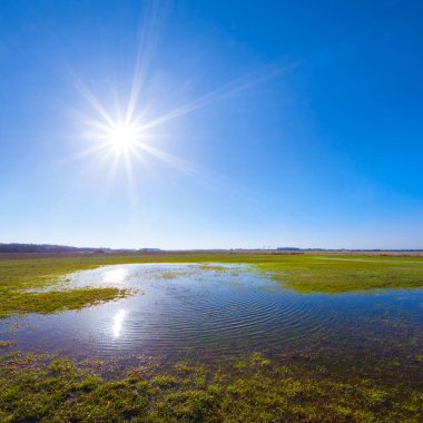Pırıl pırıl bir güneşin altında, mevsimsel doğal manzara altında bahar, çayırı sulara boğdu.