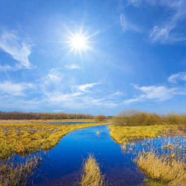 Pırıl pırıl bir güneşin altında, mevsimsel doğal manzara altında bahar, çayırı sulara boğdu.