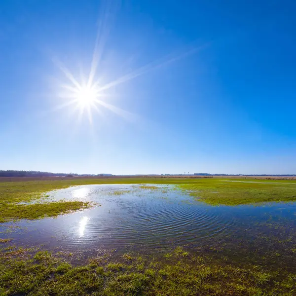 Pırıl pırıl bir güneşin altında, mevsimsel doğal manzara altında bahar, çayırı sulara boğdu.