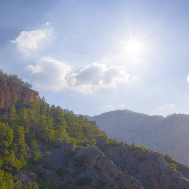 Güneşli günde yeşil dağ yamacı