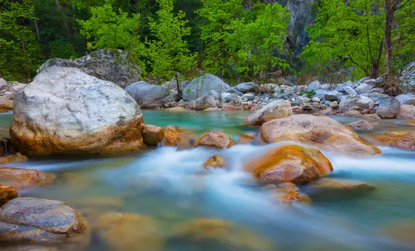 Zümrüt dağ nehri kocaman taşların arasında akıyor.