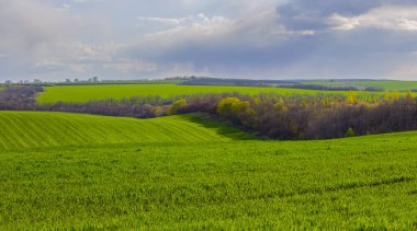 Geniş yeşil ilkbahar kırsal alanı Bulutlu bir gökyüzünün altında