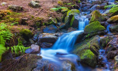 Küçük bir dağ deresi taşların üzerinden akıyor.