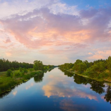 Sahilde ormanı olan küçük sakin bir nehir