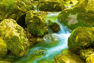 Dağ kanyonundaki taşların üzerinden akan küçük bir dere.