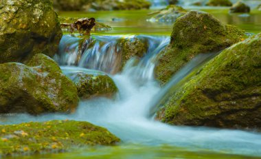 Dağ kanyonundaki taşların üzerinden akan küçük bir dere.