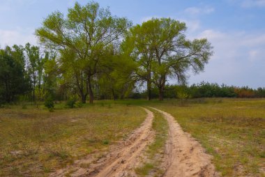 Yaz günü yeşil çayırlar arasında zemin yol