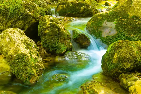 Dağ kanyonundaki taşların üzerinden akan küçük bir dere.