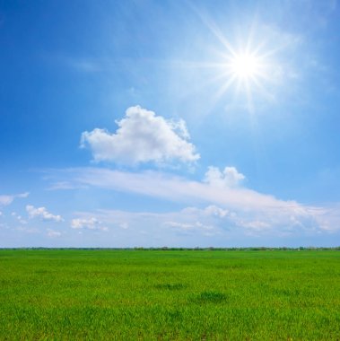 Baharın güneşli gününde geniş yeşil kırsal alan