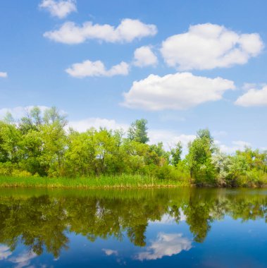 Mavi bulutlu gökyüzü altında sakin bir nehir, açık havada yaz manzarası