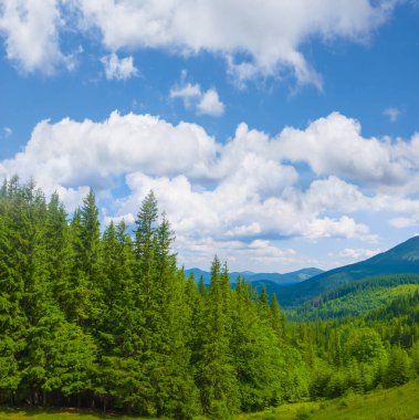 Dağ vadisi yoğun sis ve bulutlarla kaplı yeşil ormanlarla kaplı.