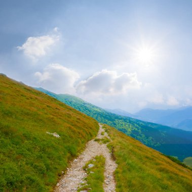 Parlak güneşli günde yeşil dağ yamacı