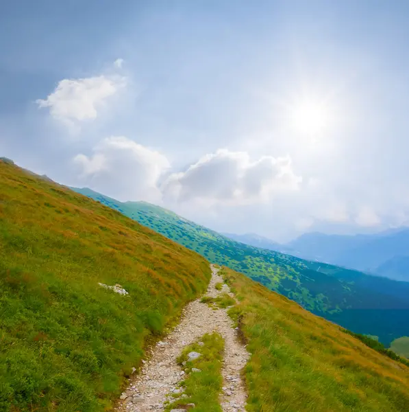 Parlak güneşli günde yeşil dağ yamacı