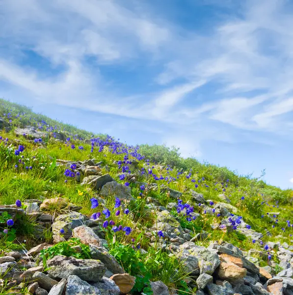 yeşil dağ yamacı mavi bulutlu gökyüzünün altında