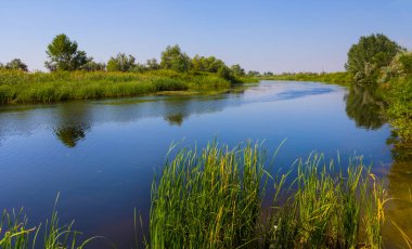 Mavi bulutlu bir gökyüzünün altında, sahilde ormanlı sakin bir nehir.